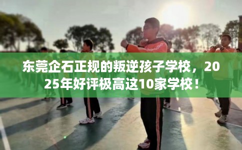 东莞企石正规的叛逆孩子学校，2025年好评极高这10家学校！