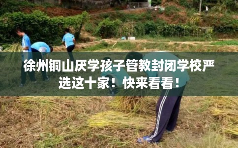 徐州铜山厌学孩子管教封闭学校严选这十家！快来看看！