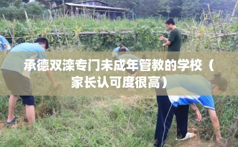 承德双滦专门未成年管教的学校（家长认可度很高）