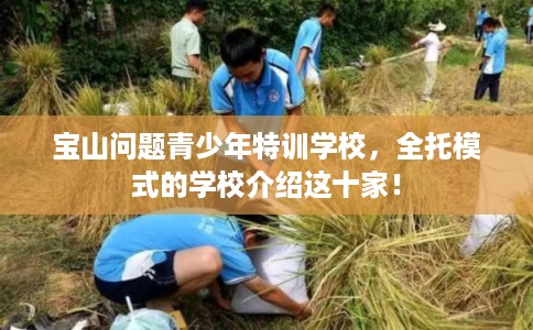宝山问题青少年特训学校，全托模式的学校介绍这十家！