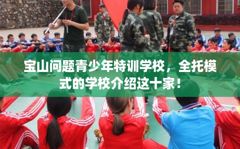 宝山问题青少年特训学校，全托模式的学校介绍这十家！