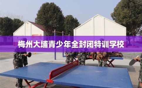 梅州大埔青少年全封闭特训学校