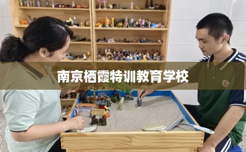 南京栖霞特训教育学校