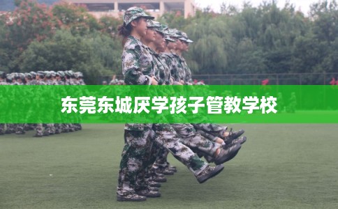 东莞东城厌学孩子管教学校