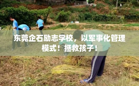 东莞企石励志学校，以军事化管理模式！拯救孩子！
