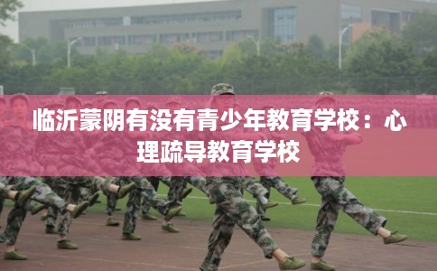 临沂蒙阴有没有青少年教育学校：心理疏导教育学校