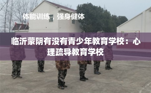 临沂蒙阴有没有青少年教育学校：心理疏导教育学校