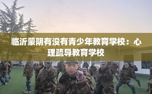 临沂蒙阴有没有青少年教育学校：心理疏导教育学校