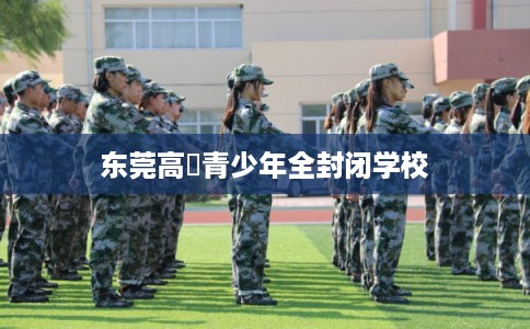东莞高埗青少年全封闭学校