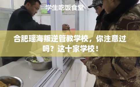 合肥瑶海叛逆管教学校,你注意过吗?这十家学校! 合肥瑶海叛逆管教学校,你注意过吗?这十家学校!