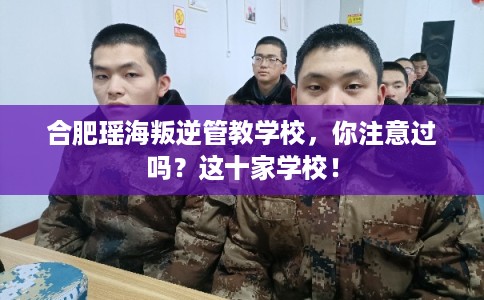 合肥瑶海叛逆管教学校，你注意过吗？这十家学校！