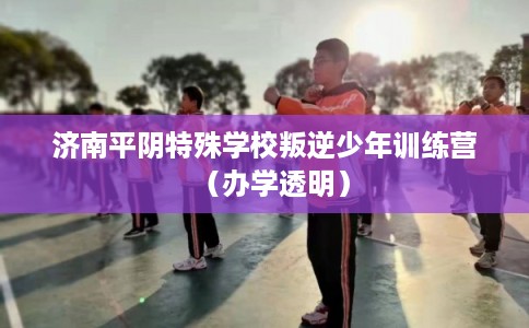 济南平阴特殊学校叛逆少年训练营（办学透明）