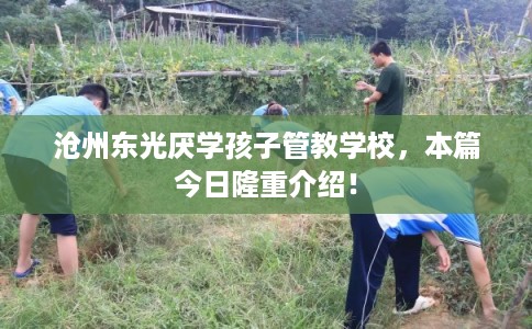 沧州东光厌学孩子管教学校,本篇今日隆重介绍! 沧州东光厌学孩子管教学校,本篇今日隆重介绍!