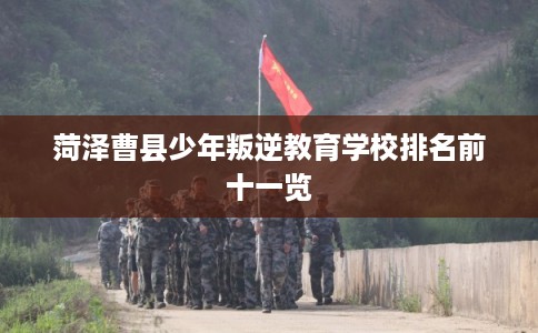 菏泽曹县少年叛逆教育学校排名前十一览