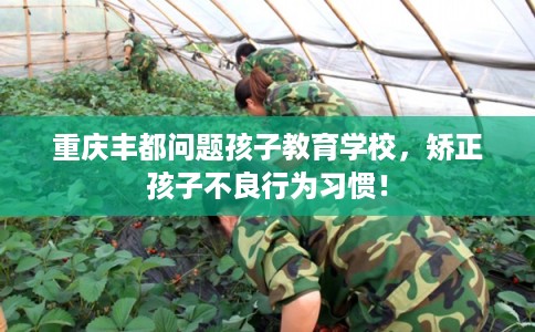 重庆丰都问题孩子教育学校,矫正孩子不良行为习惯! 重庆丰都问题孩子教育学校,矫正孩子不良行为习惯!