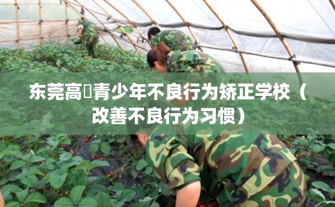 东莞高埗青少年不良行为矫正学校（改善不良行为习惯）