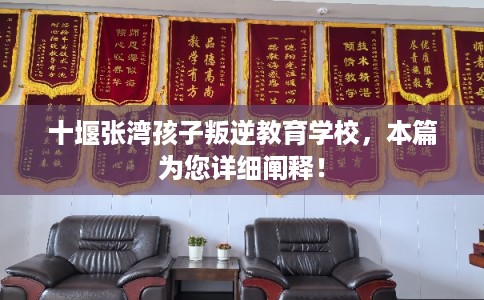 十堰张湾孩子叛逆教育学校,本篇为您详细阐释! 十堰张湾孩子叛逆教育学校,本篇为您详细阐释!