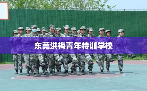 东莞洪梅青年特训学校