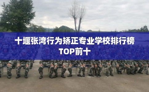 十堰张湾行为矫正专业学校排行榜TOP前十 十堰张湾行为矫正专业学校排行榜TOP前十