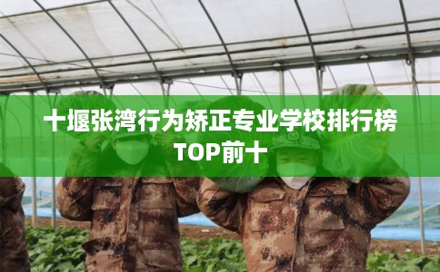 十堰张湾行为矫正专业学校排行榜TOP前十 十堰张湾行为矫正专业学校排行榜TOP前十