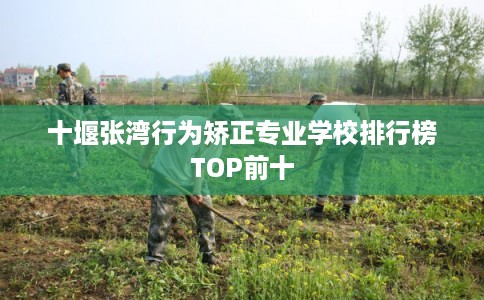 十堰张湾行为矫正专业学校排行榜TOP前十