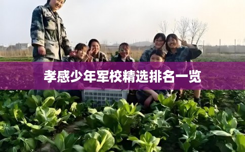 孝感少年军校精选排名一览