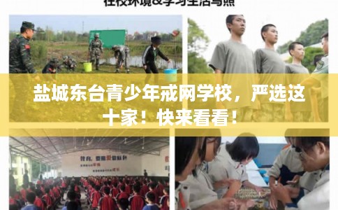 盐城东台青少年戒网学校,严选这十家!快来看看! 盐城东台青少年戒网学校,严选这十家!快来看看!