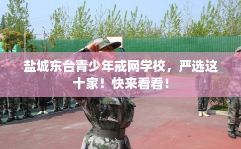 盐城东台青少年戒网学校,严选这十家!快来看看! 盐城东台青少年戒网学校,严选这十家!快来看看!