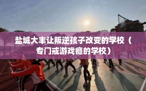 盐城大丰让叛逆孩子改变的学校（专门戒游戏瘾的学校）