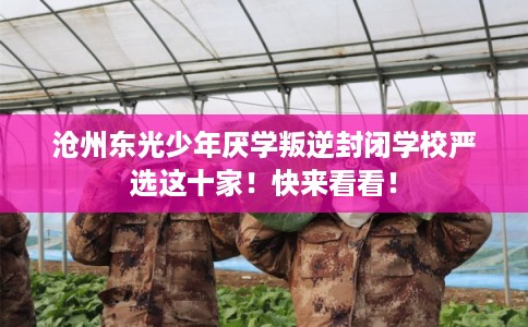 沧州东光少年厌学叛逆封闭学校严选这十家！快来看看！