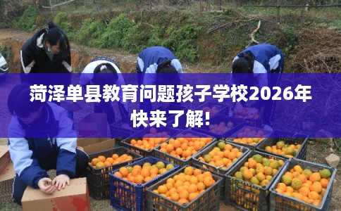 菏泽单县教育问题孩子学校2026年快来了解!