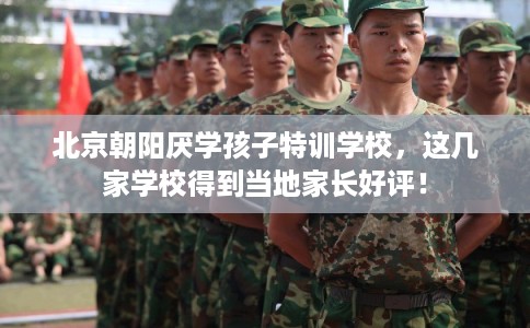 北京朝阳厌学孩子特训学校，这几家学校得到当地家长好评！