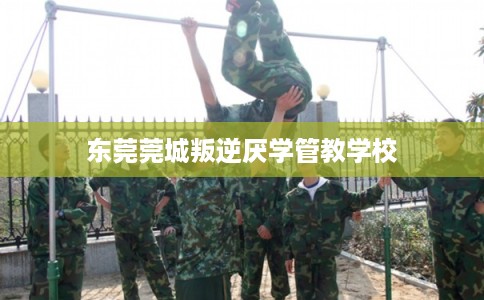 东莞莞城叛逆厌学管教学校