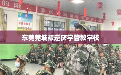 东莞莞城叛逆厌学管教学校