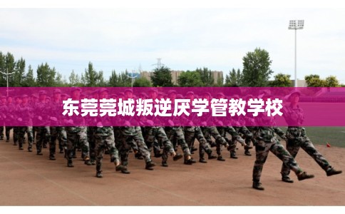 东莞莞城叛逆厌学管教学校