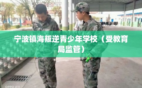 宁波镇海叛逆青少年学校(受教育局监管) 宁波镇海叛逆青少年学校(受教育局监管)