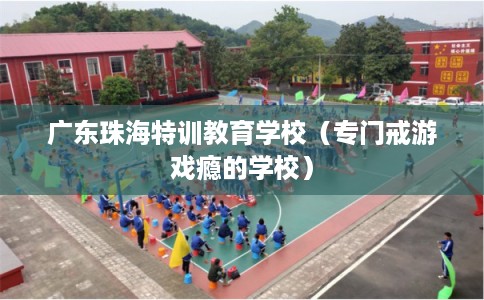 广东珠海特训教育学校（专门戒游戏瘾的学校）