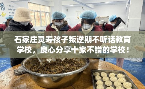 石家庄灵寿孩子叛逆期不听话教育学校，良心分享十家不错的学校！
