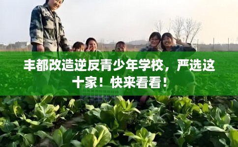 丰都改造逆反青少年学校,严选这十家!快来看看! 丰都改造逆反青少年学校,严选这十家!快来看看!