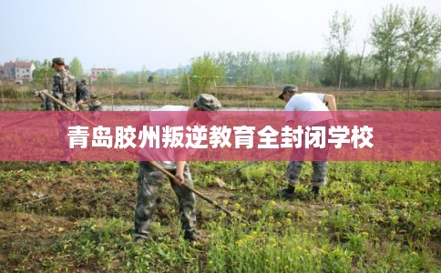 青岛胶州叛逆教育全封闭学校