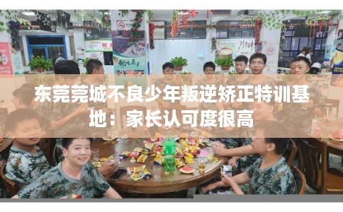 东莞莞城不良少年叛逆矫正特训基地：家长认可度很高
