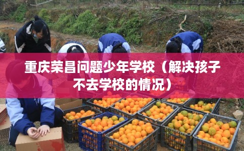 重庆荣昌问题少年学校（解决孩子不去学校的情况）