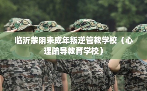 临沂蒙阴未成年叛逆管教学校（心理疏导教育学校）