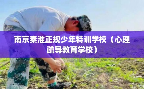 南京秦淮正规少年特训学校（心理疏导教育学校）