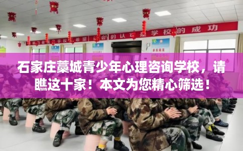 石家庄藁城青少年心理咨询学校，请瞧这十家！本文为您精心筛选！