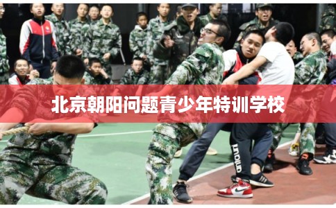 北京朝阳问题青少年特训学校