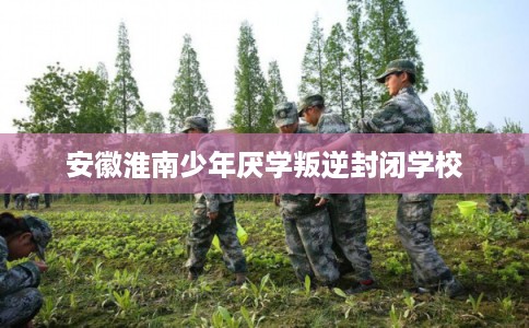 安徽淮南少年厌学叛逆封闭学校