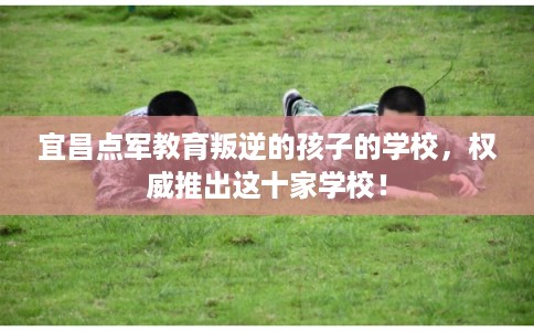 宜昌点军教育叛逆的孩子的学校，权威推出这十家学校！