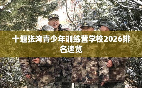 十堰张湾青少年训练营学校2026排名速览