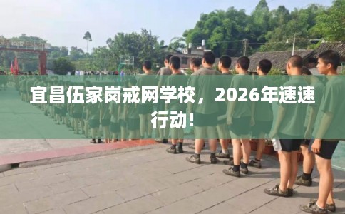 宜昌伍家岗戒网学校，2026年速速行动!